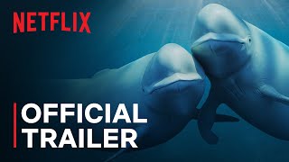 Our Oceans  Barack Obama  Official Trailer  Netflix [upl. by Yelrehs]