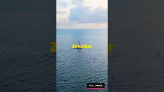 Reef And Beach Resort Zanzibar shorts ytshorts [upl. by Adnamma]