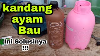 Cara Menghilangkan Bau Kotoran dan Lalat Di Kandang Ayam menggunakan EM4 [upl. by Aikkan]