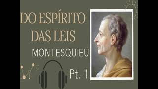 DO ESPÍRITO DAS LEIS  MONTESQUIEU  Audiolivro Audiobook Pt 1 [upl. by Ocin]