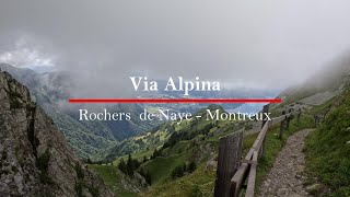 Hiking the Via Alpina Trail 20Rochers da Naye  Montreux Switzerland 4k [upl. by Fritts]