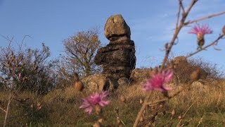 Naturschutzgebiet FehhaubeKogelsteine [upl. by Griffin]