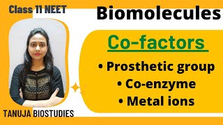 Biomolecules  Cofactors  Prosthetic group  Coenzyme  Metal ions  Class 11 biologyNEETAIIMS [upl. by Anihtyc52]