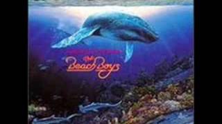 The Beach Boys  Lahaina Aloha  1992 [upl. by Grassi]