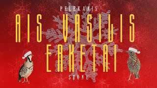 Stone x Stephanos Pelekanis  Ais Vasilis Erketai  Official Music Video [upl. by Lianna]