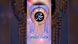 ek din unki khidmat me jakar unki naate unhi ko sunadun 🕋🤲😭shortviralmojislamicmrraza [upl. by Aramenta902]