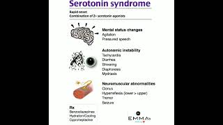 💠 Serotonin syndrome 💠 [upl. by Darrick420]