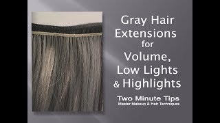 Gray Extensions for Volume Low Lights amp Highlights  E [upl. by Yalahs830]