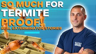 So Much For Termite Proof  Real Exterminator Stories [upl. by Dloraj]