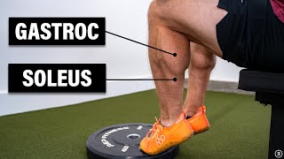 Calf Muscle Strain Injury Best Exercises for Rehab and How to Return to Running [upl. by Nyer]