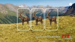 Glück aus Graubünden  Steinbock  Casino777 [upl. by Jacey]