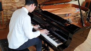 쇼팽 에튀드 259 나비 Chopin Etude Op25 No9 쇼팽나비 [upl. by Amadeo]