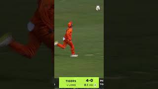 Browns Boundaries  CT vs ML  Match HL  Watch Max60 Caribbean 2024 on Tamasha [upl. by Winchester]