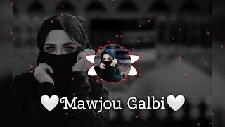 Mawjou Galbi Remix🖤 subscribe please 🙏🏻🥺 [upl. by Nahshunn]