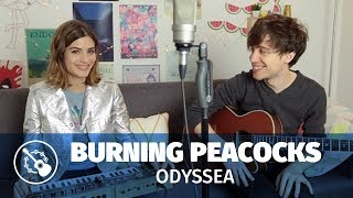 Burning Peacocks — Odyssea live [upl. by Essirehs]