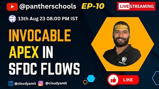 EP10  Invocable Apex in Salesforce Flows pantherschools sfdcpanther [upl. by Midian]