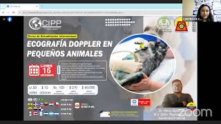 ECOGRAFÍA DOPPLER EN PEQUEÑOS ANIMALES [upl. by Brieta]