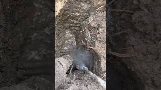 oddlysatisfying hydrovac excavation asmr satisfying work working construction telecom mud [upl. by Doownyl]