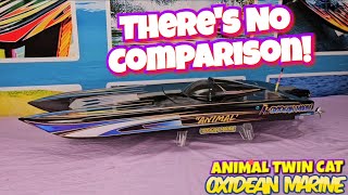 Animal Twin Cat Rc Boat is Simply the Best No Comparison [upl. by Kenna]