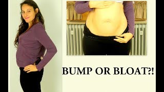 14 WEEKS PREGNANT BODY IMAGE AND BABYS GENDER [upl. by Redmer]