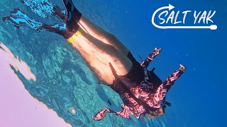 Key West Snorkeling and Tarpon on Islamorada floridakeys tarpon snorkeling [upl. by Ssalguod]