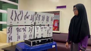 Portable Cytogenetics Karyotyping Learning Kit and teaching AidC [upl. by Ahsinan]