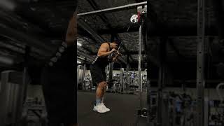 Tricep Cable Push Downs  Straight Bar [upl. by Juna]