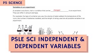 PSLE Science Summary of Independent amp Dependent Variables in Experiment TTA P5 Science Ep 8 [upl. by Susejedesoj]