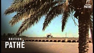 Ageless Iraq Reel 2 19501959 [upl. by Nodnorb]