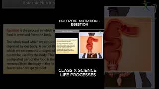 HOLOZOIC NUTRITION EGESTION viral biology [upl. by Aicirpac600]