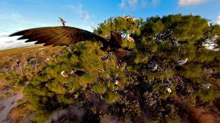 Interior of Kamole Laysan Island in 360° [upl. by Lance]