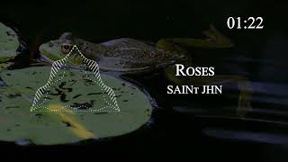 SAINt JHN  Roses [upl. by Gerhardine]