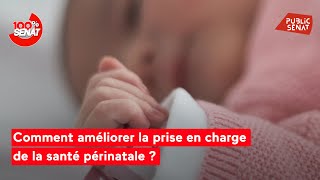 Santé périnatale  “Cette politique publique n’a pas bénéficié de constance” [upl. by Arded]