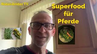 Superfood für Pferde Fütterung Fellwechsel An weiden Stoffwechsel lecker Futter Selbstgemischt [upl. by Weinert455]