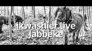 Boomslepen met trekpaarden – Voorbereiding Dag van de natuur  ikwashierlive in Maskobos Natuurpunt [upl. by Rebane]