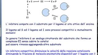 Video Lezione Proteine RegolazioneEnzimaticaInibizione [upl. by Alik]