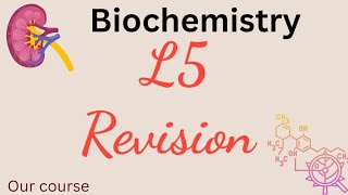 L5Bio  Revision of pyrimidine metabolism Renal42 [upl. by Christina882]