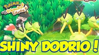 SHINY DODRIO REACTION RIDEABLE SHINY POKEMON  Pokémon Lets Go Pikachu and Lets Go Eevee [upl. by Erastatus]