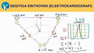 EKG Dasar 620  Segitiga Einthoven [upl. by Ilime]