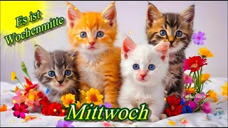 Hurra  Wochenmitte 🤗 der Mittwoch ist da 💕 liebe Grüße zum Wochenteiler 😊 [upl. by Notsej]