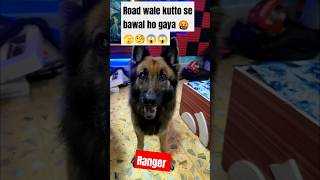 Road Wale kutton se Bawal ho gaya😱🧐🤬🫣😱😱😱 shorts germanshepperd [upl. by Turnbull]