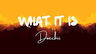 Doechii  What It Is Solo Version Lyrics [upl. by Asiluj]