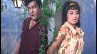 Janam Janam  Shammi Kapoor amp Babita  Tumse Achcha Kaun Haiflv [upl. by Enitsyrk167]