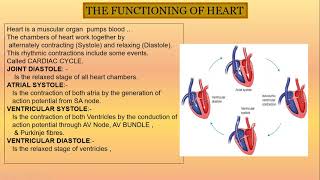 BODY FLUIDS AND CIRCULATIOM 4 THE HUMAN HEART IS SO SPECIAL  AUTO EXCITABLE  NODAL TISSUES  1 [upl. by Secunda]