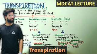 Transpiration in plants  NMDCAT 2021 [upl. by Drus922]