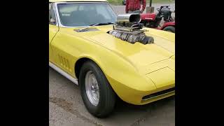 Blown Corvette Surging and Loping sounds Amazing [upl. by Philippa]