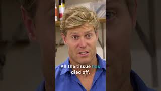 Unbelievable Snake Poisoned Himself With His Venom 😬 untamed snakes drchrisbrown [upl. by Weibel]