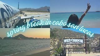 travel diaries  spring break in cabo san lucas 🌴  riu baja california jetski atv rosanegra [upl. by Aneej]