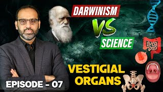 Episode 07  Vestigial Organs [upl. by Laureen]