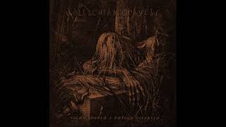 Wallachian Cobwebs  Night Sobbed a Potion Diseased Dark Ambient  Full Album [upl. by Mcquoid325]